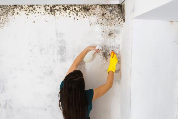 MivDom.ru | Как убрать плесень со стен в квартире в домашних условиях навсегда народными средствами